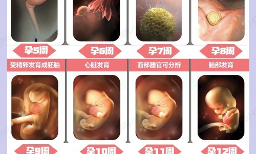着床后睡不着觉正常吗-着床期间休息不好网 - 着床后睡眠不好的原因,着床期失眠有影响吗
