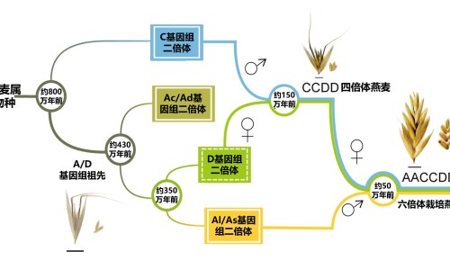 着床后睡眠不好的原因-着床期间休息不好网 - 着床后睡眠不好的原因,着床期失眠有影响吗
